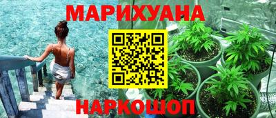 индика Апшеронск