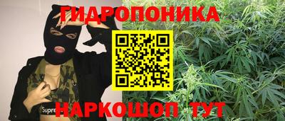 бошки Аргун