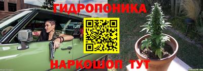 индика Апшеронск